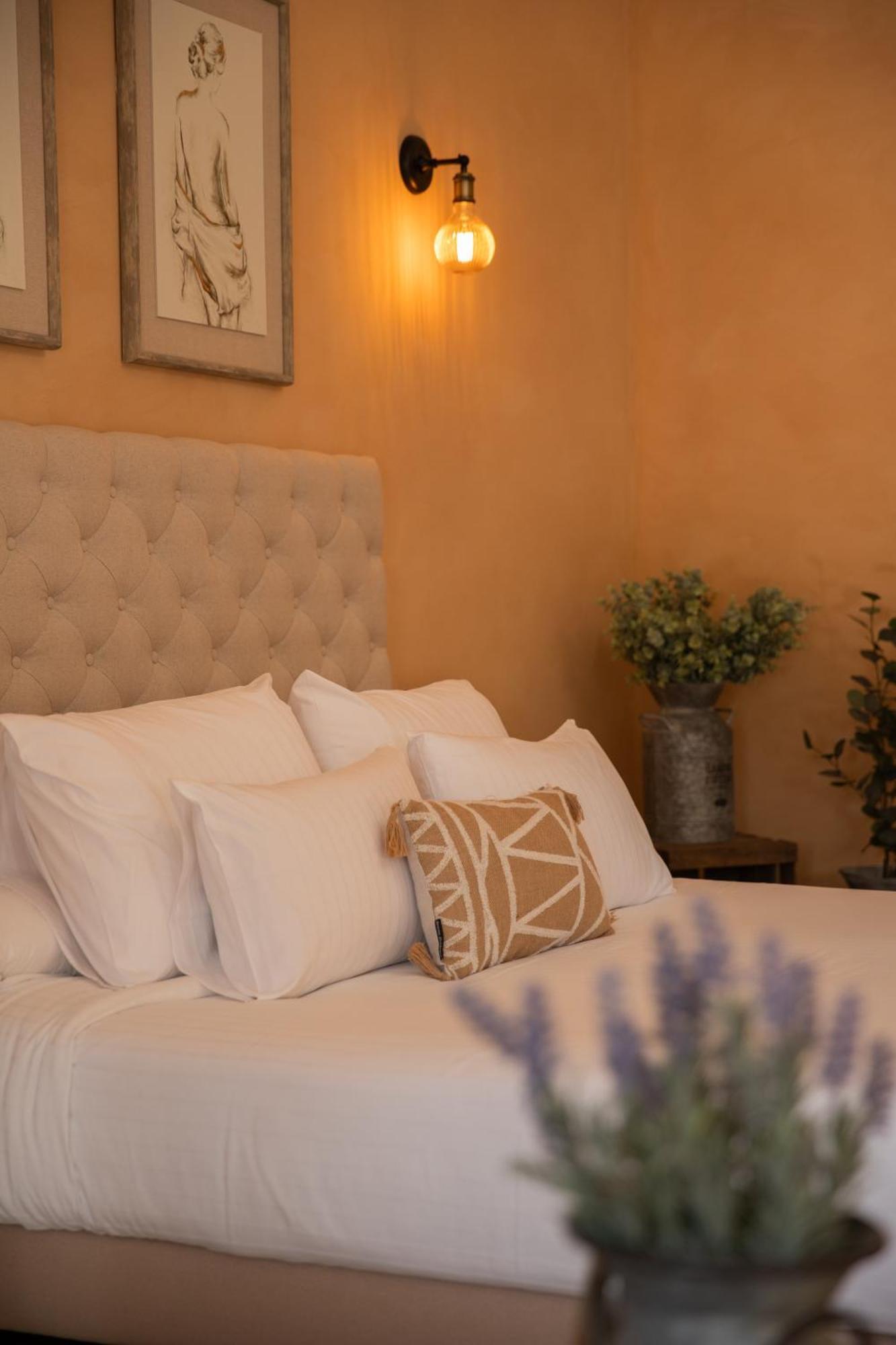Solérieux Maison Roucas - Restaurant Et Chambres D'Hotes מראה חיצוני תמונה